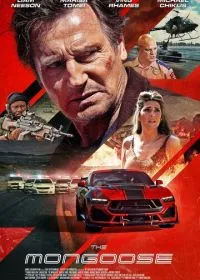 Мангуст
